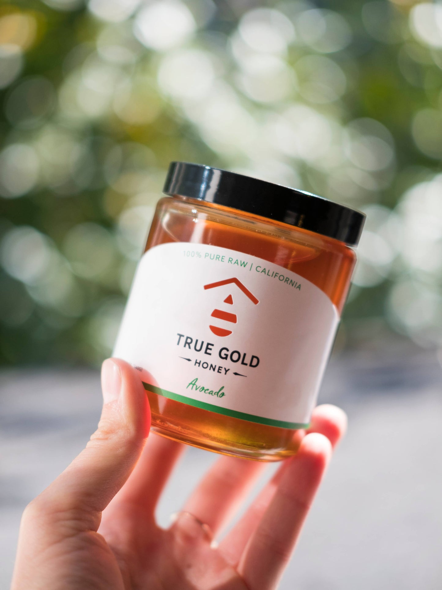 California Avocado Honey