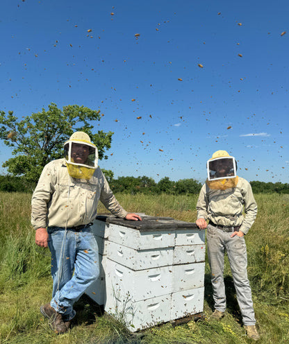 South Dakota Alfalfa Honey - Dakota Honey Company