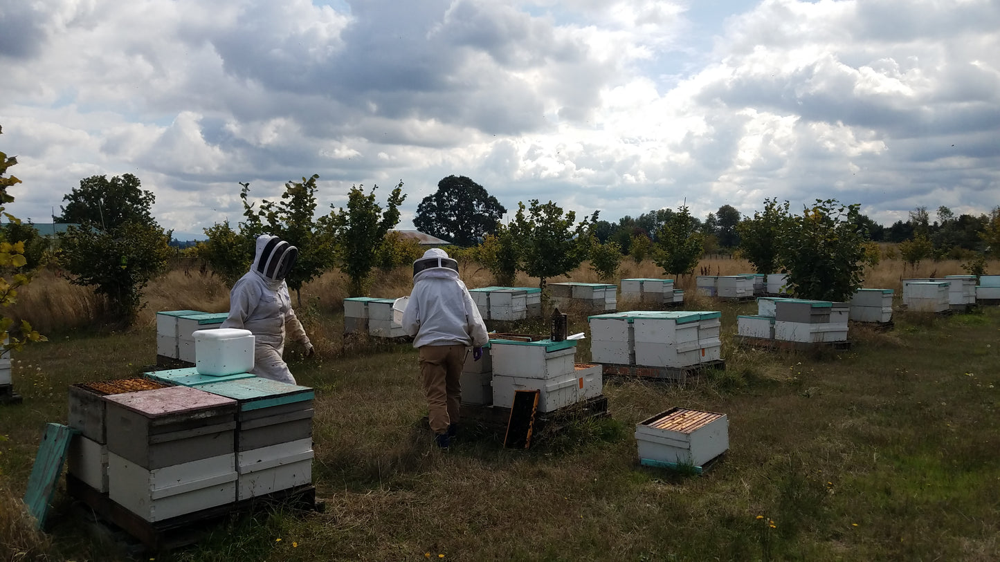 Oregon Snowberry Honey - Flying Bee Ranch